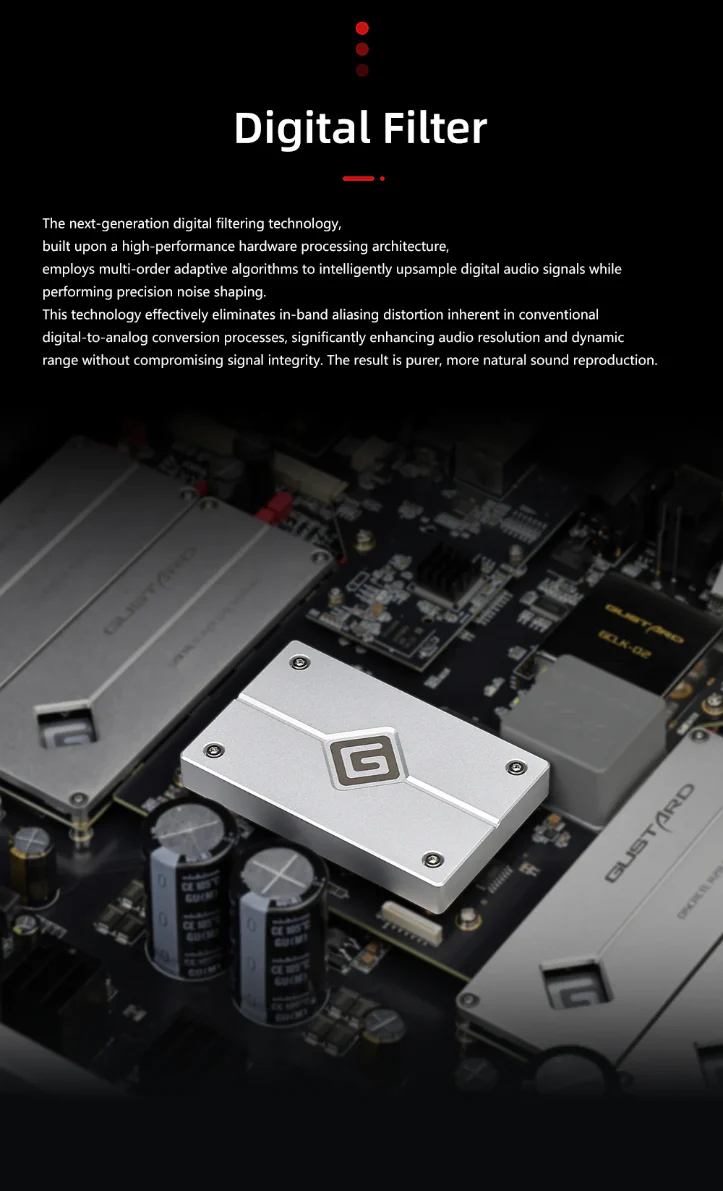 [🎶SG] GUSTARD R30 - Fully Discrete R2R DAC - Image 10