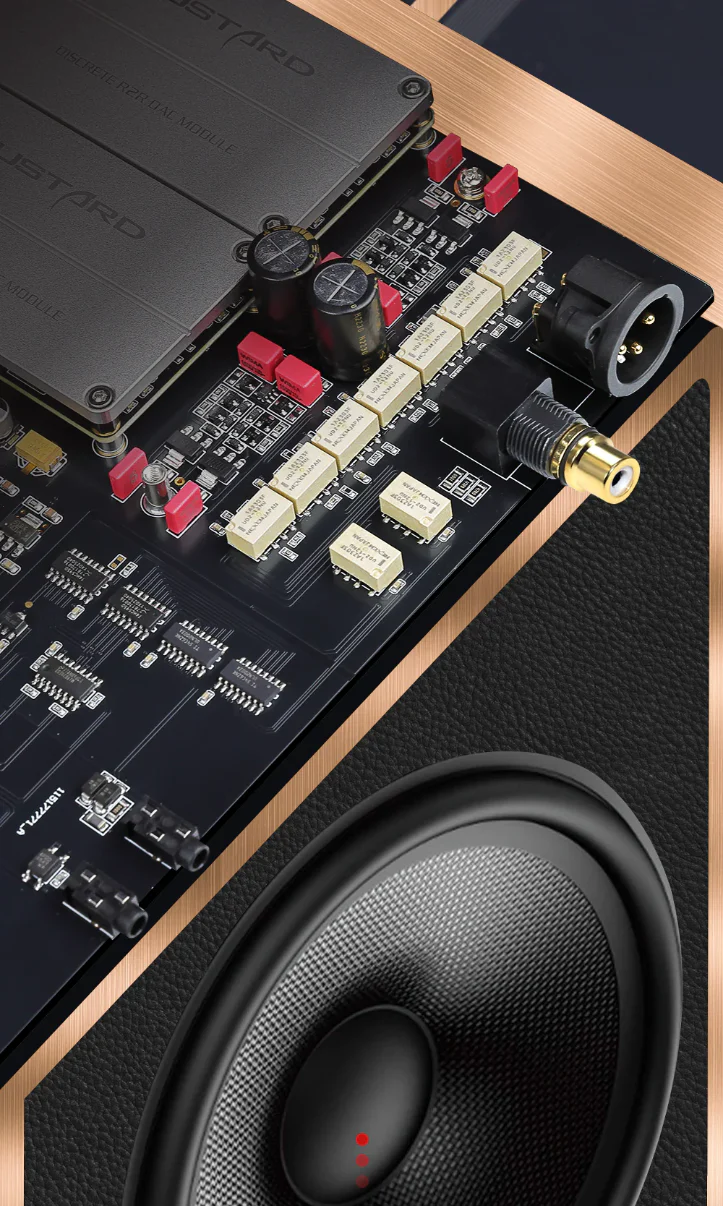 [🎶SG] GUSTARD R30 - Fully Discrete R2R DAC - Image 16