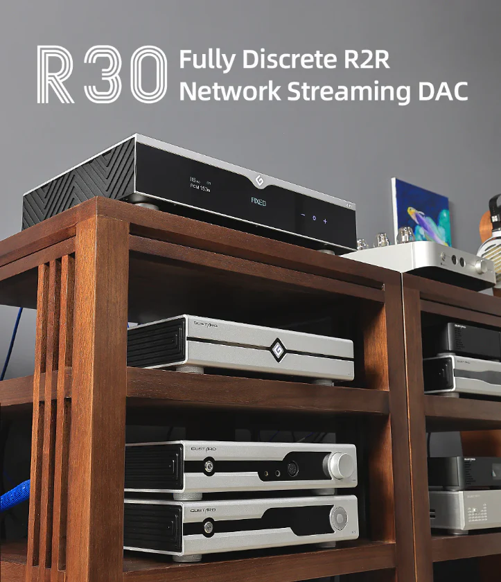[🎶SG] GUSTARD R30 - Fully Discrete R2R DAC - Image 3