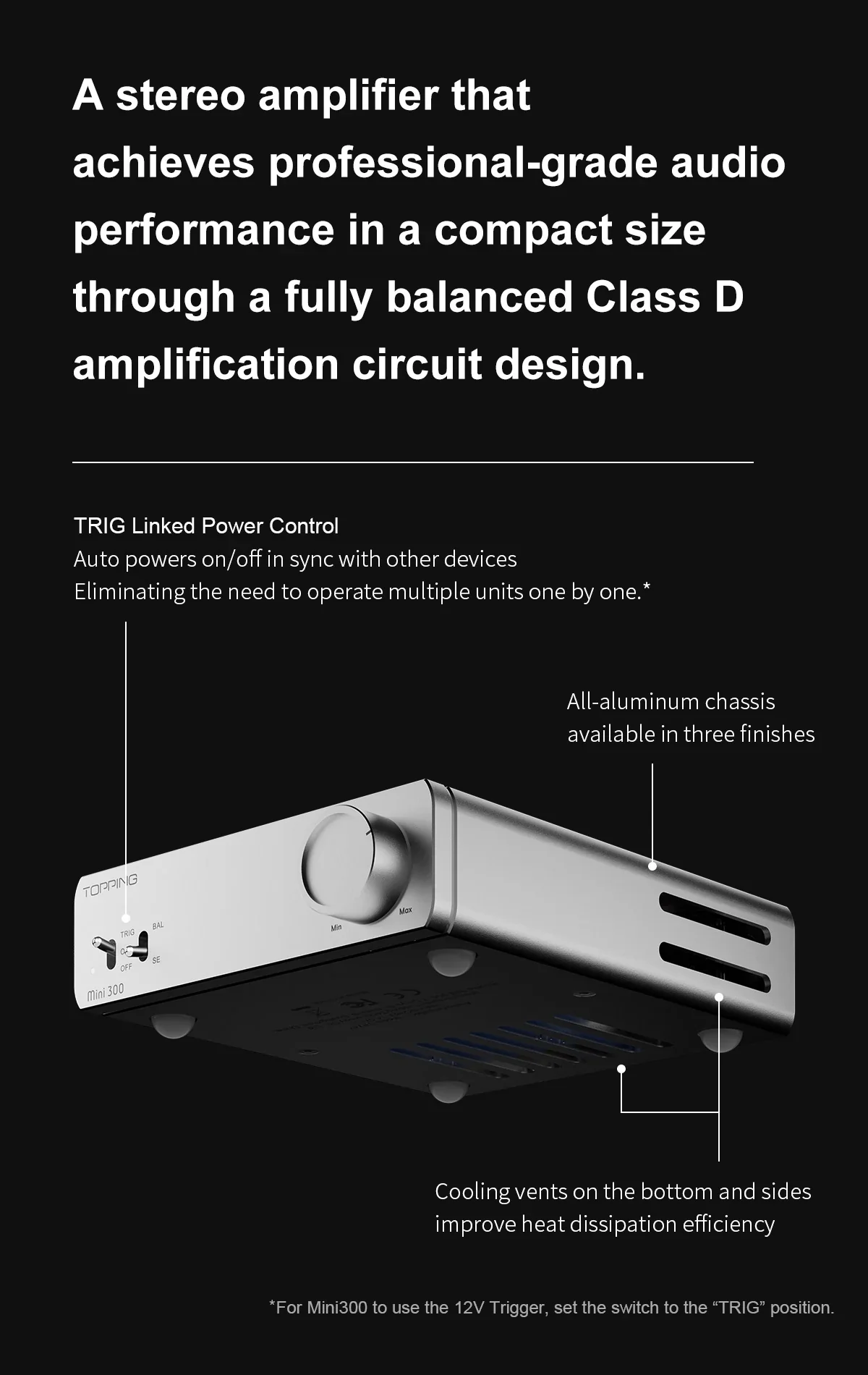 [🎶SG] TOPPING Mini 300 - Compact Desktop Power Amplifier - Image 6