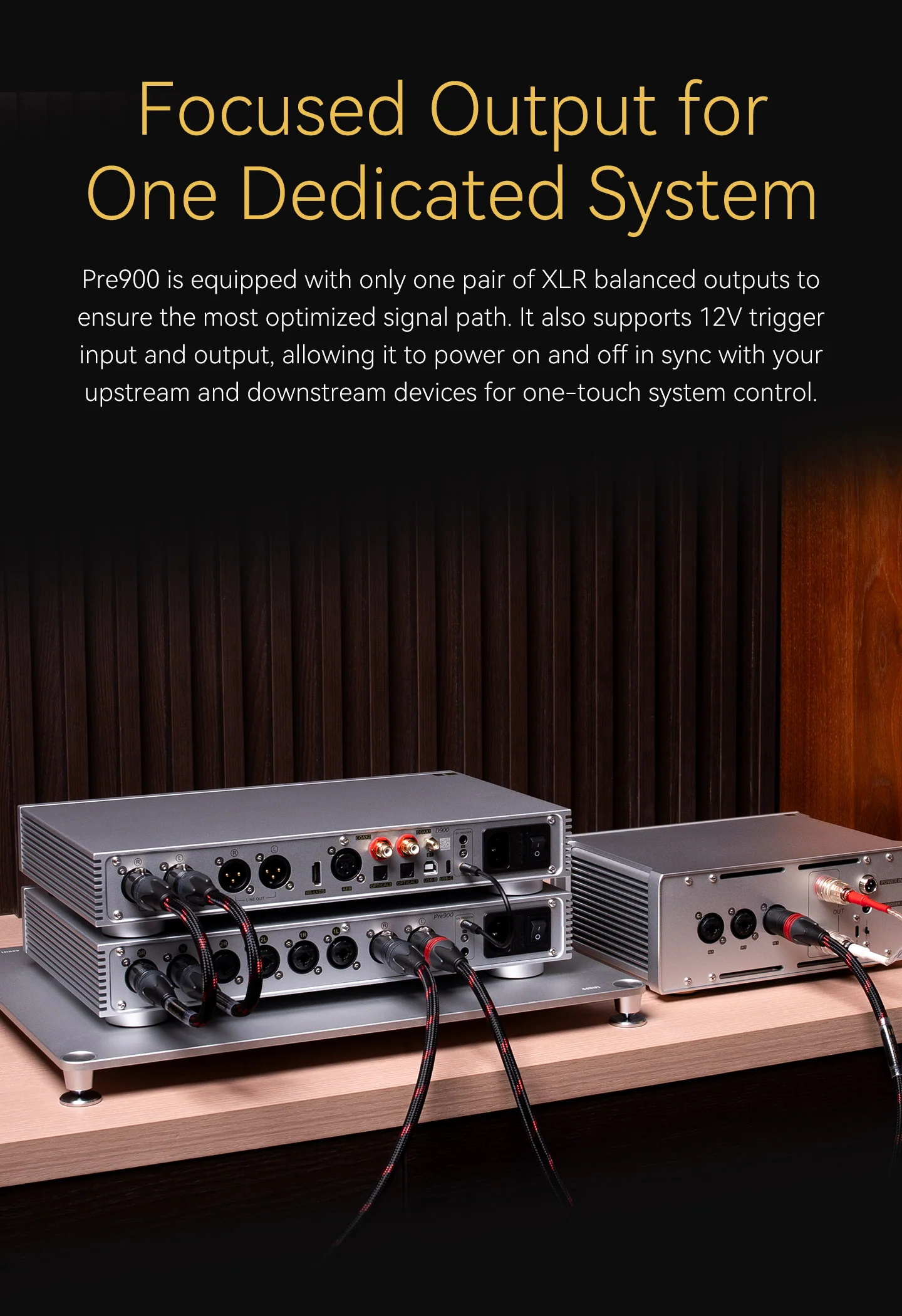 [🎶SG] TOPPING PRE900 - Fully Balanced Preamplifier - Image 12