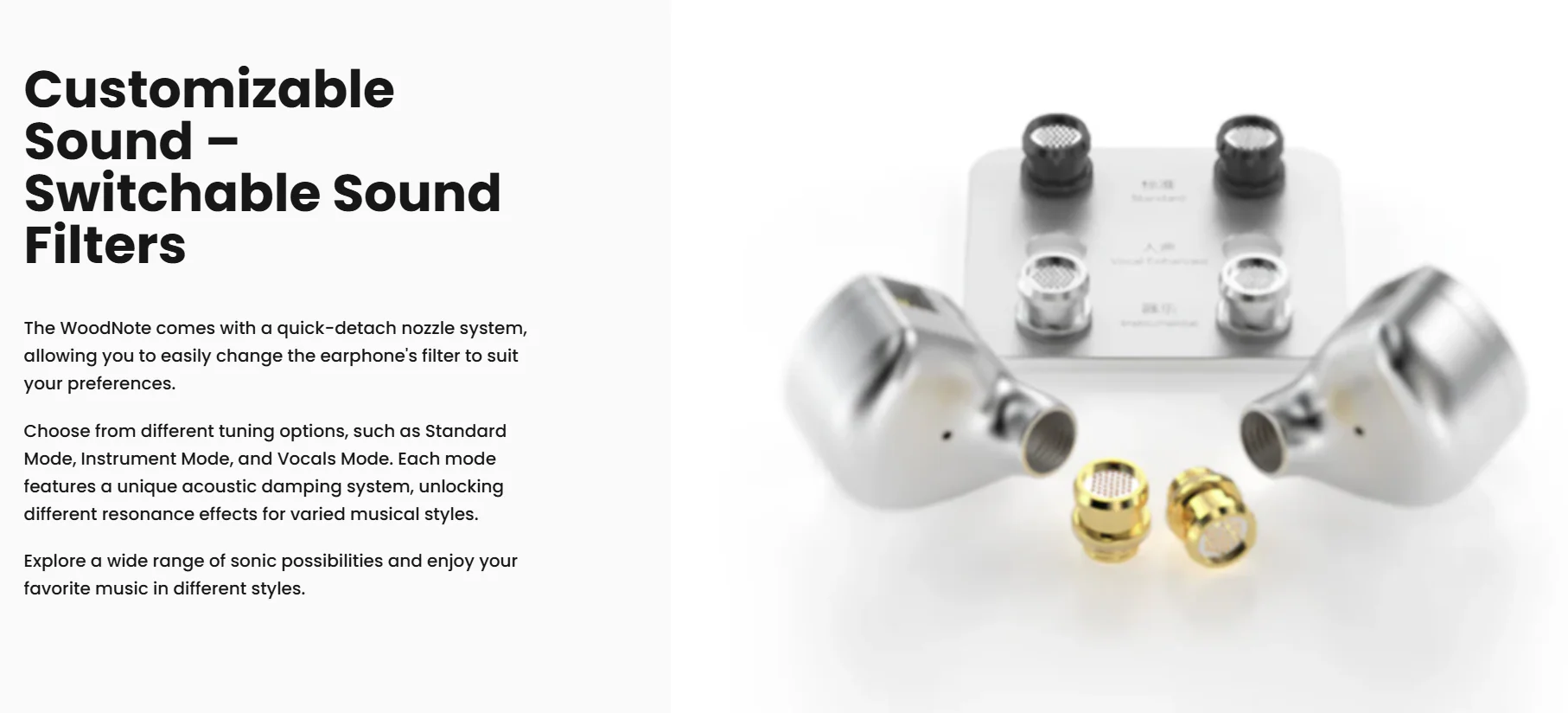 [🎶SG] TWISTURA WOODNOTE - Flagship 10mm Dynamic Driver HiFi Wired Earphones - Image 5